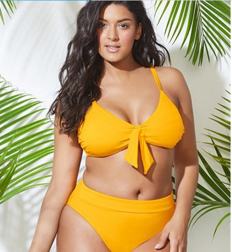 Plus Size 2 pc Women's Swimsuit Bikini